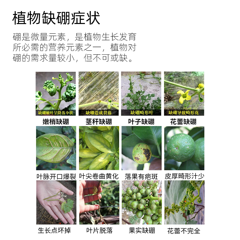 未標題-1.png 未標題-1.png