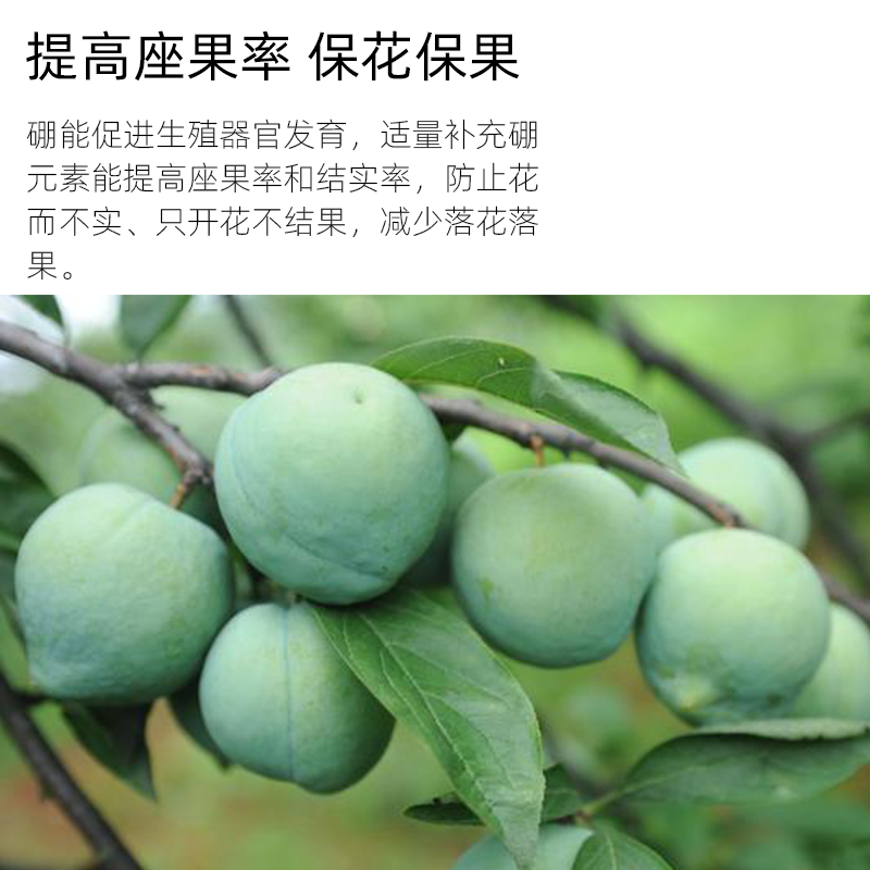 座果率.png 座果率.png