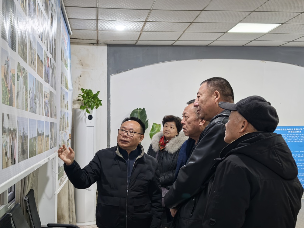 IMG_20241219_175003.jpg IMG_20241219_175003.jpg