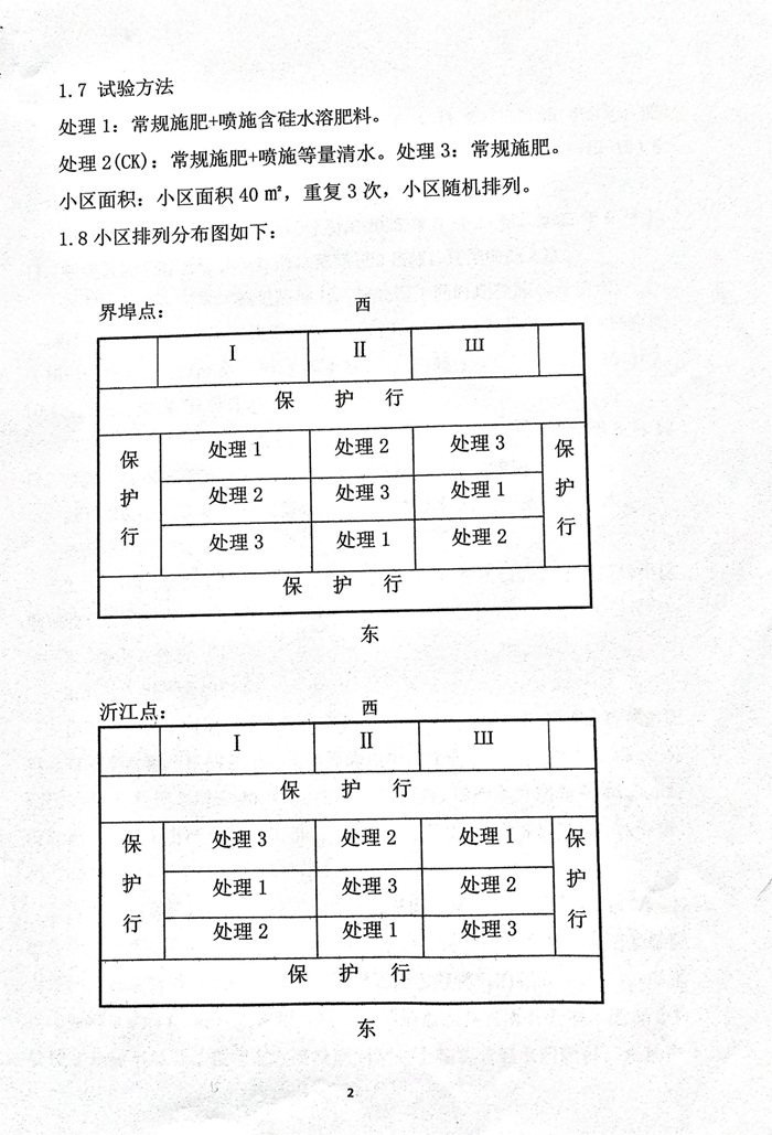 含硅水溶肥料在水稻上的肥效試驗報告20250817_02.jpg 含硅水溶肥料在水稻上的肥效試驗報告20250817_02.jpg